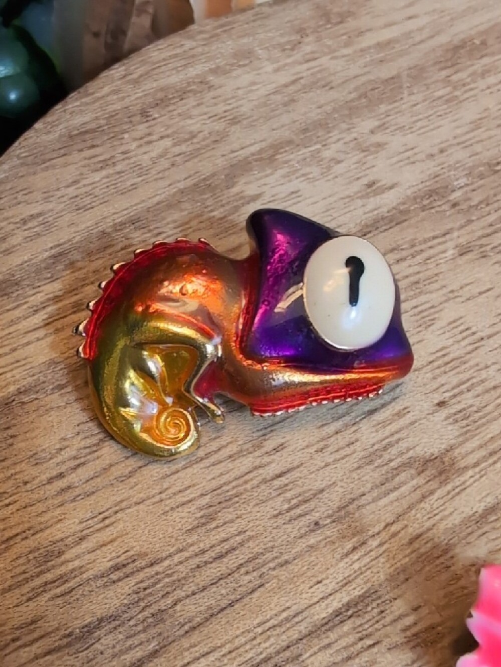 Colorful Chameleon Pin and Pink Candy Brooch Set - Picture 4 of 8